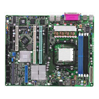 Asus M2N-LR/SATA (90-MSVAM0-G0UAY00Z)